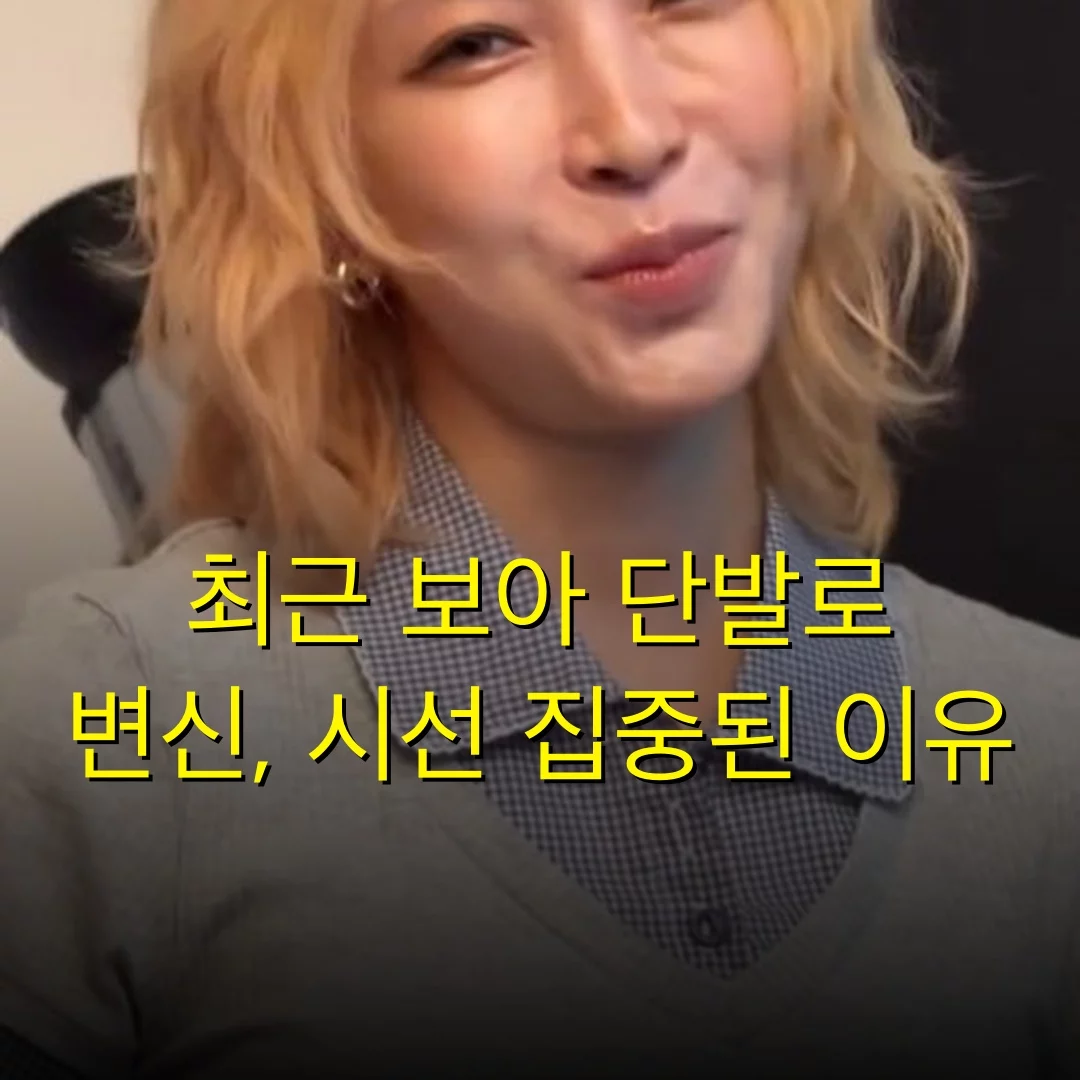 최근 보아 단발로 변신, 시선 집중된 이유