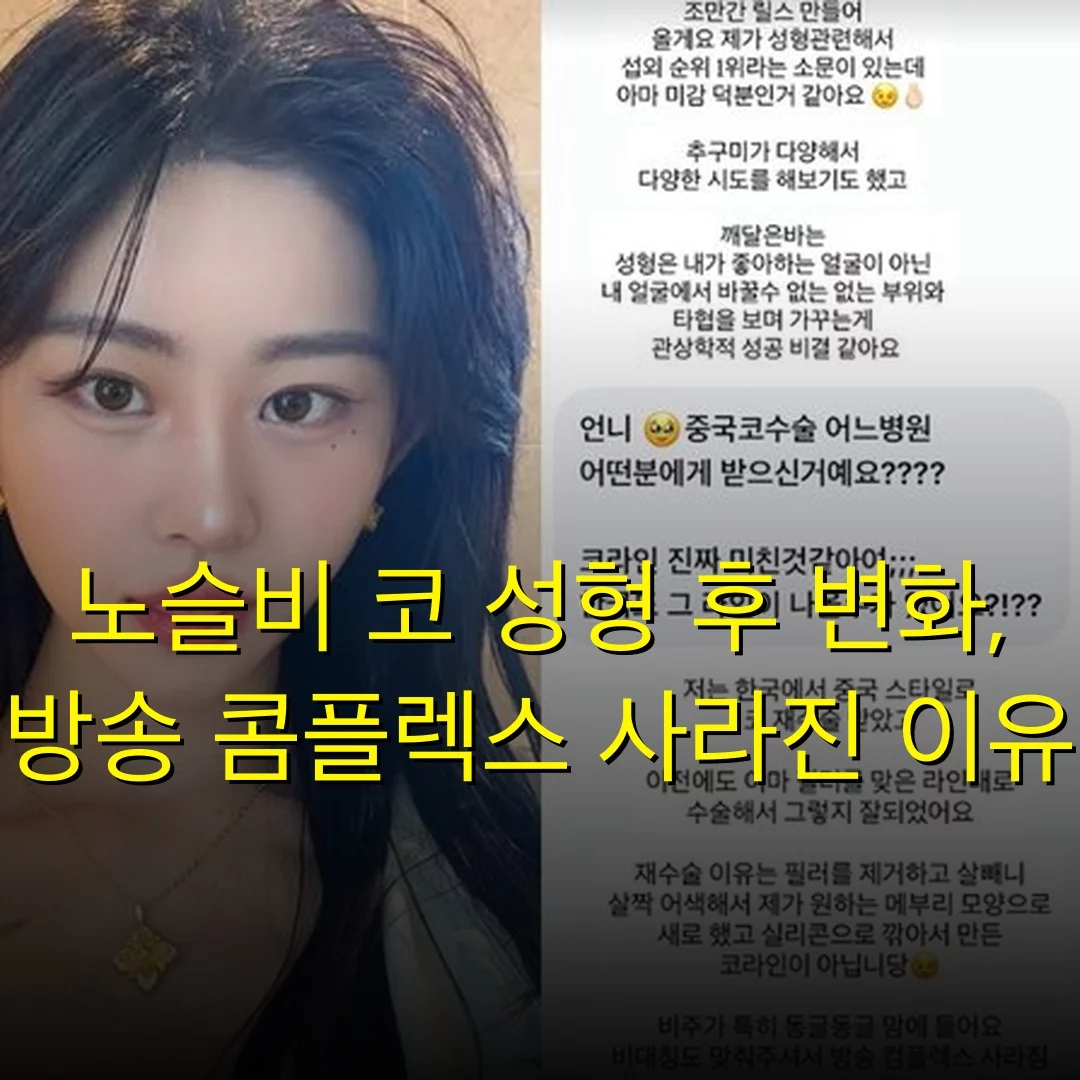 노슬비 코 성형 후 변화, 방송 콤플렉스 사라진 이유