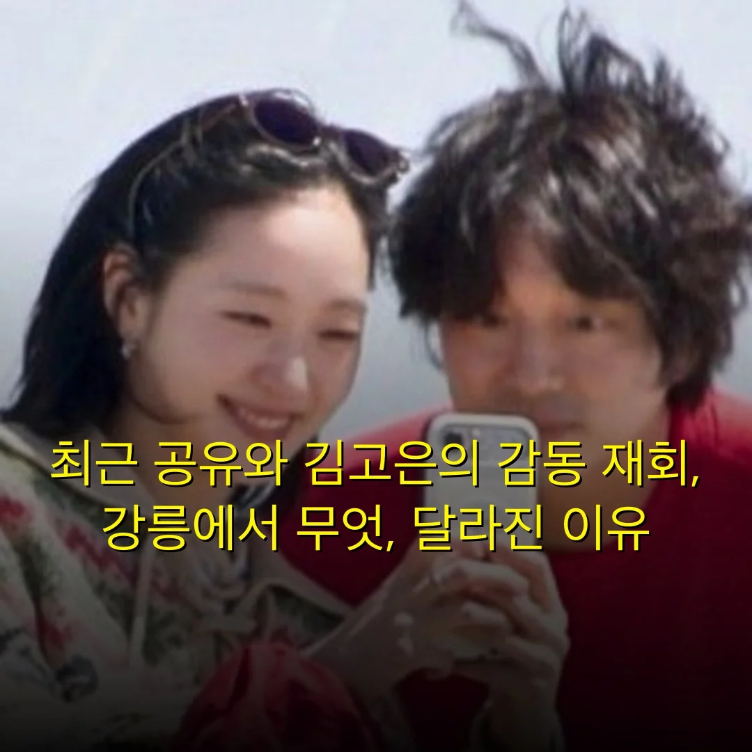 최근 공유와 김고은의 감동 재회, 강릉에서 무엇, 달라진 이유