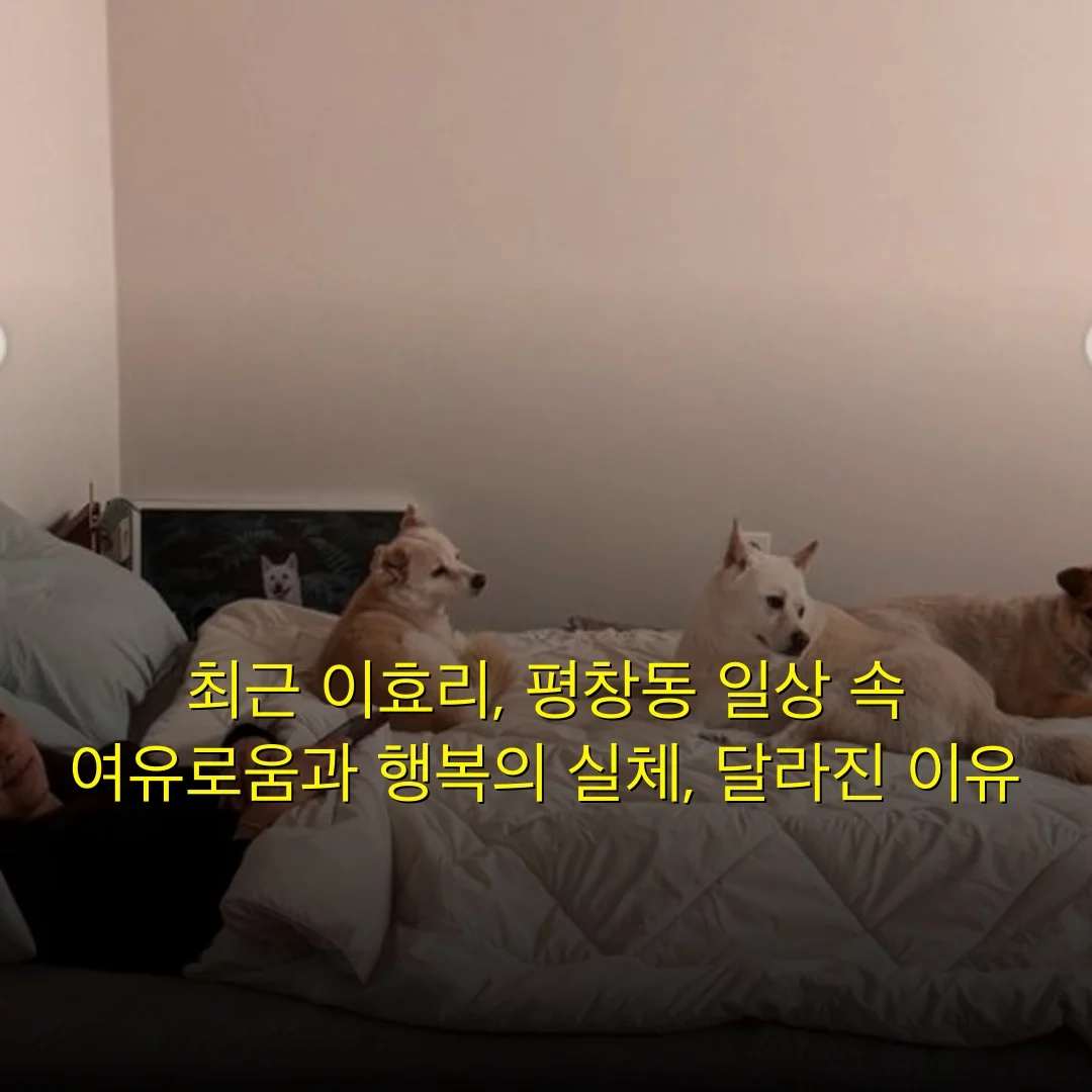 출처: 네이트 기사 이미지