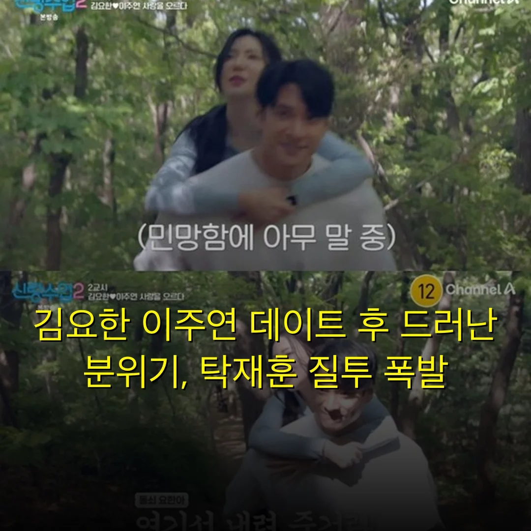 출처: 네이트 기사 이미지
