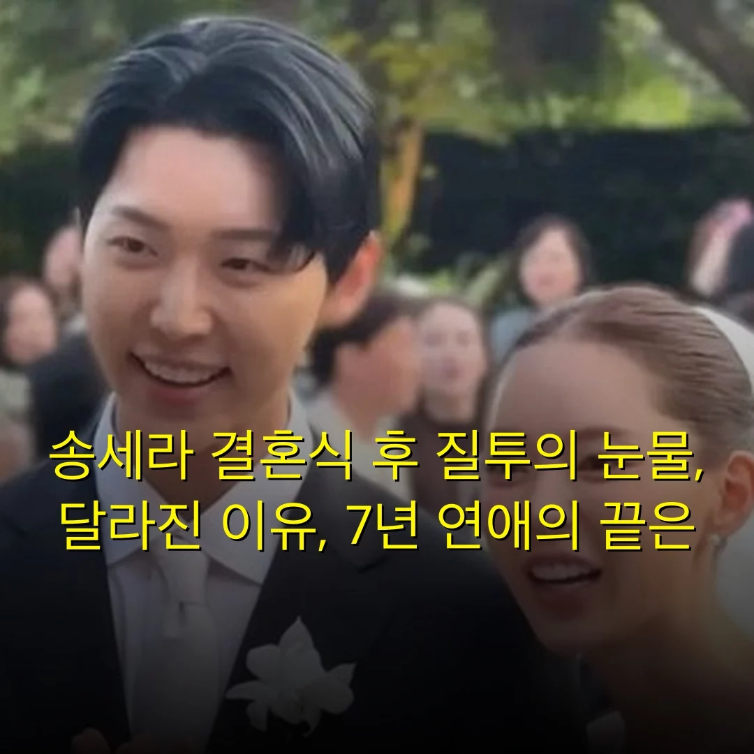 송세라 결혼식 후 질투의 눈물, 달라진 이유, 7년 연애의 끝은