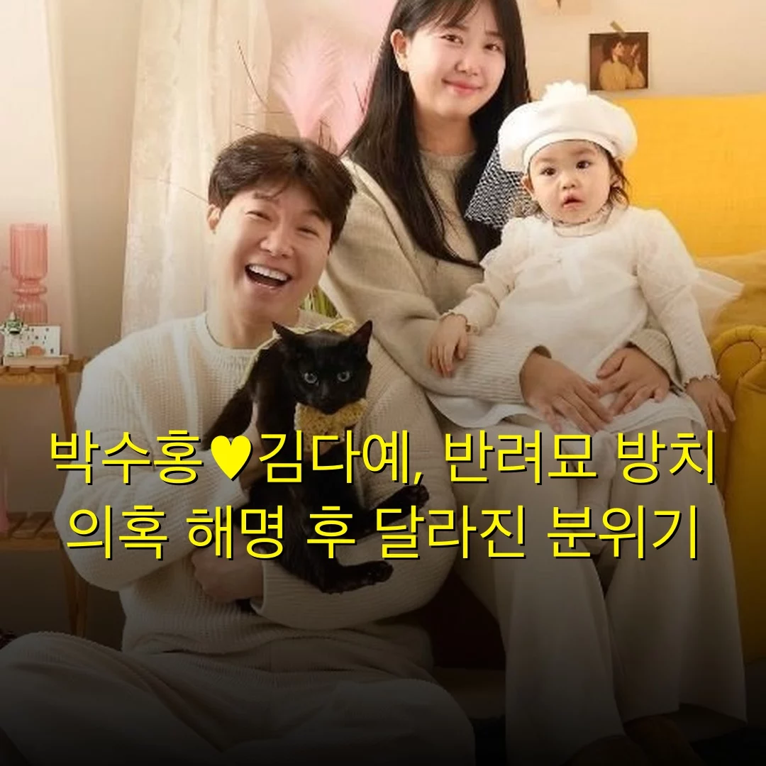 출처: 네이트 기사 이미지