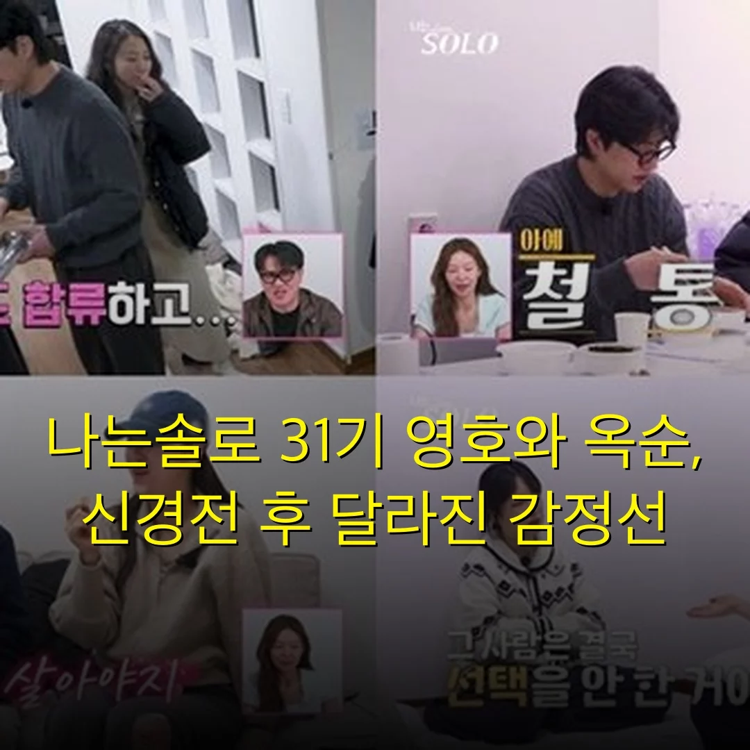 출처: 네이트 기사 이미지