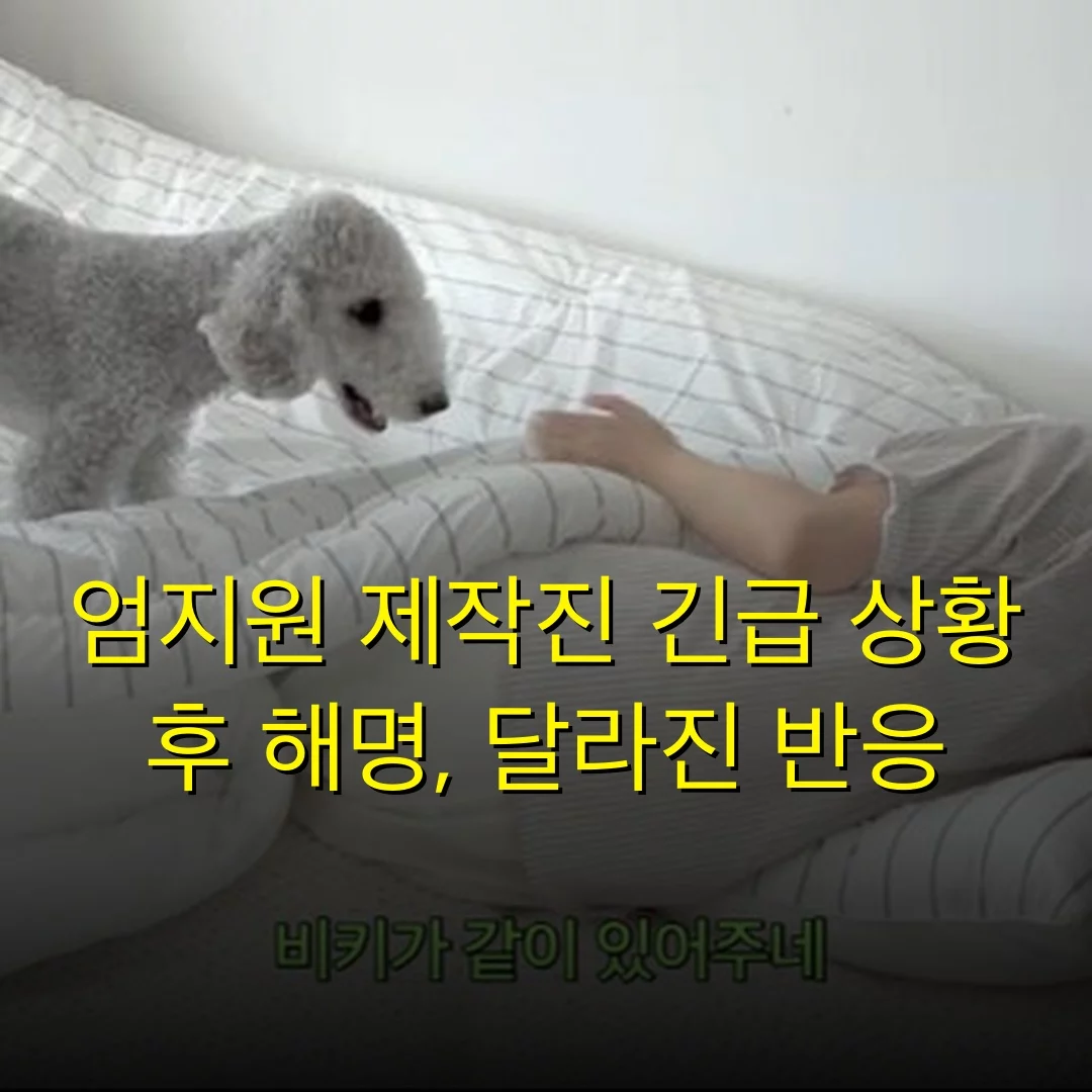 엄지원 제작진 긴급 상황 후 해명, 달라진 반응