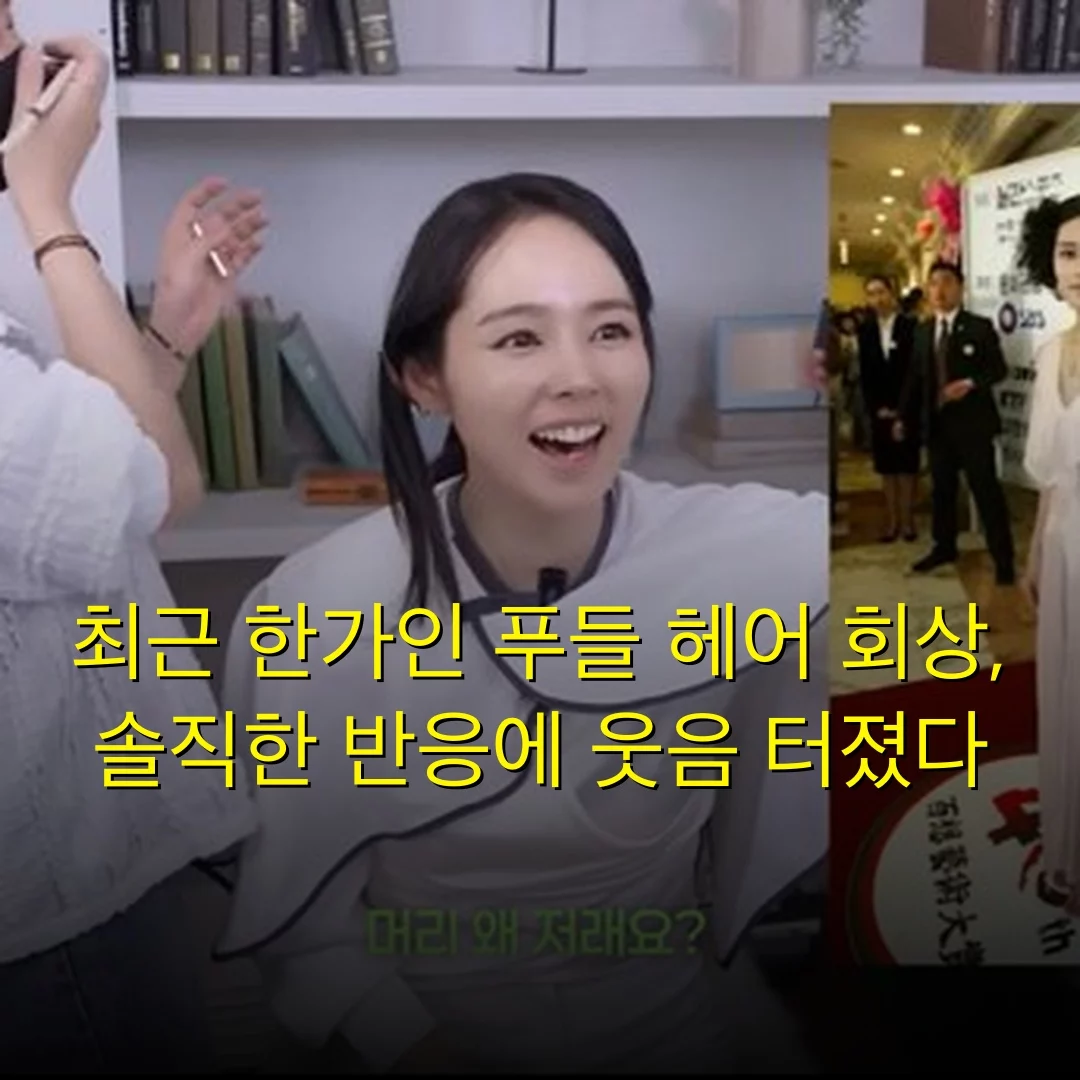 최근 한가인 푸들 헤어 회상, 솔직한 반응에 웃음 터졌다