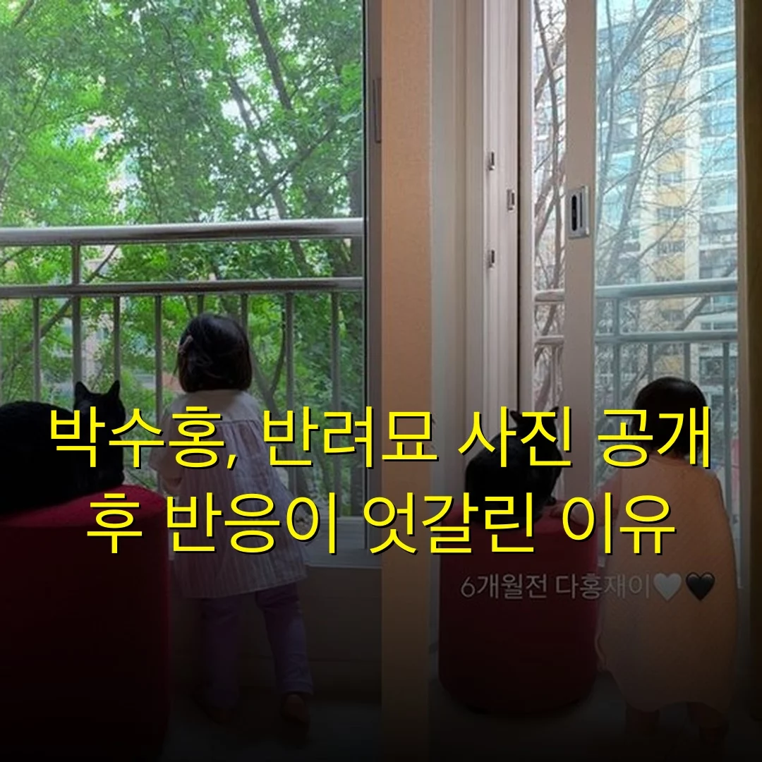 박수홍, 반려묘 사진 공개 후 반응이 엇갈린 이유