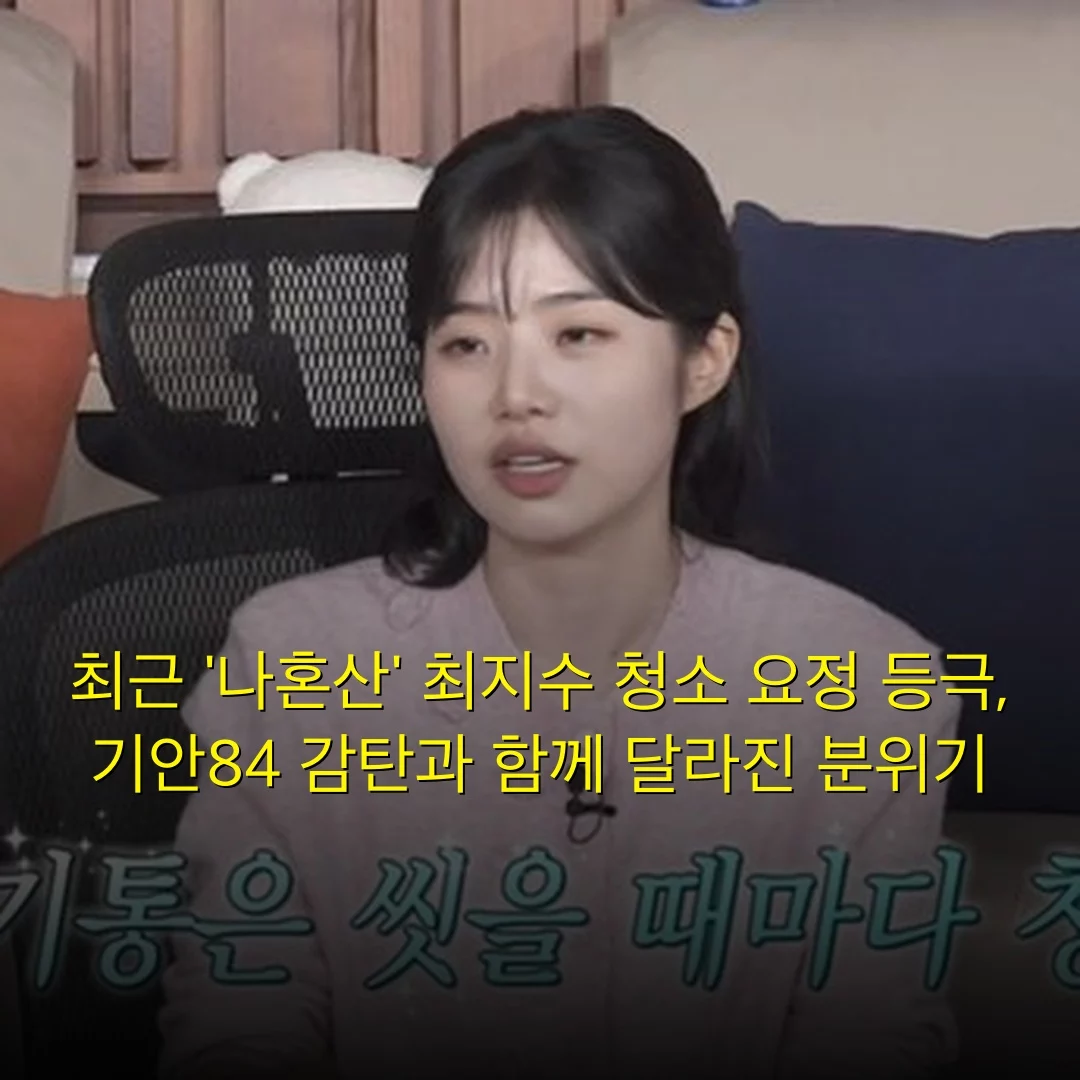 출처: 네이트 기사 이미지