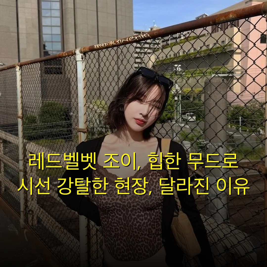 출처: 네이트 기사 이미지