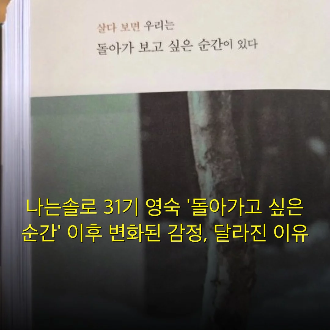 출처: 네이트 기사 이미지