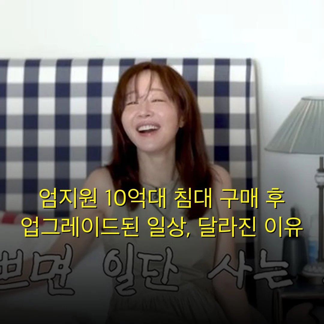 출처: 네이트 기사 이미지