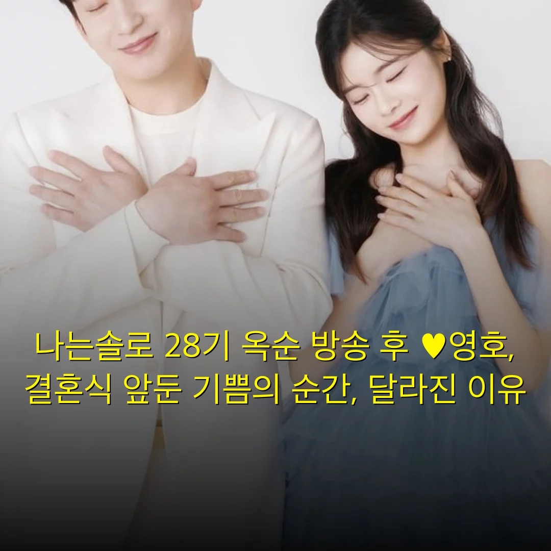 출처: 네이트 기사 이미지