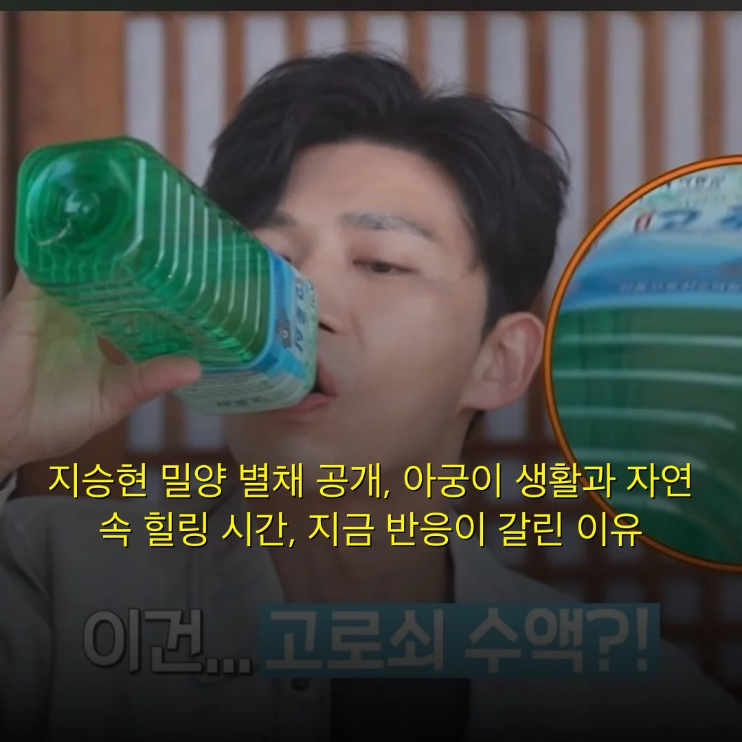 지승현 밀양 별채 공개, 아궁이 생활과 자연 속 힐링 시간, 지금 반응이 갈린 이유