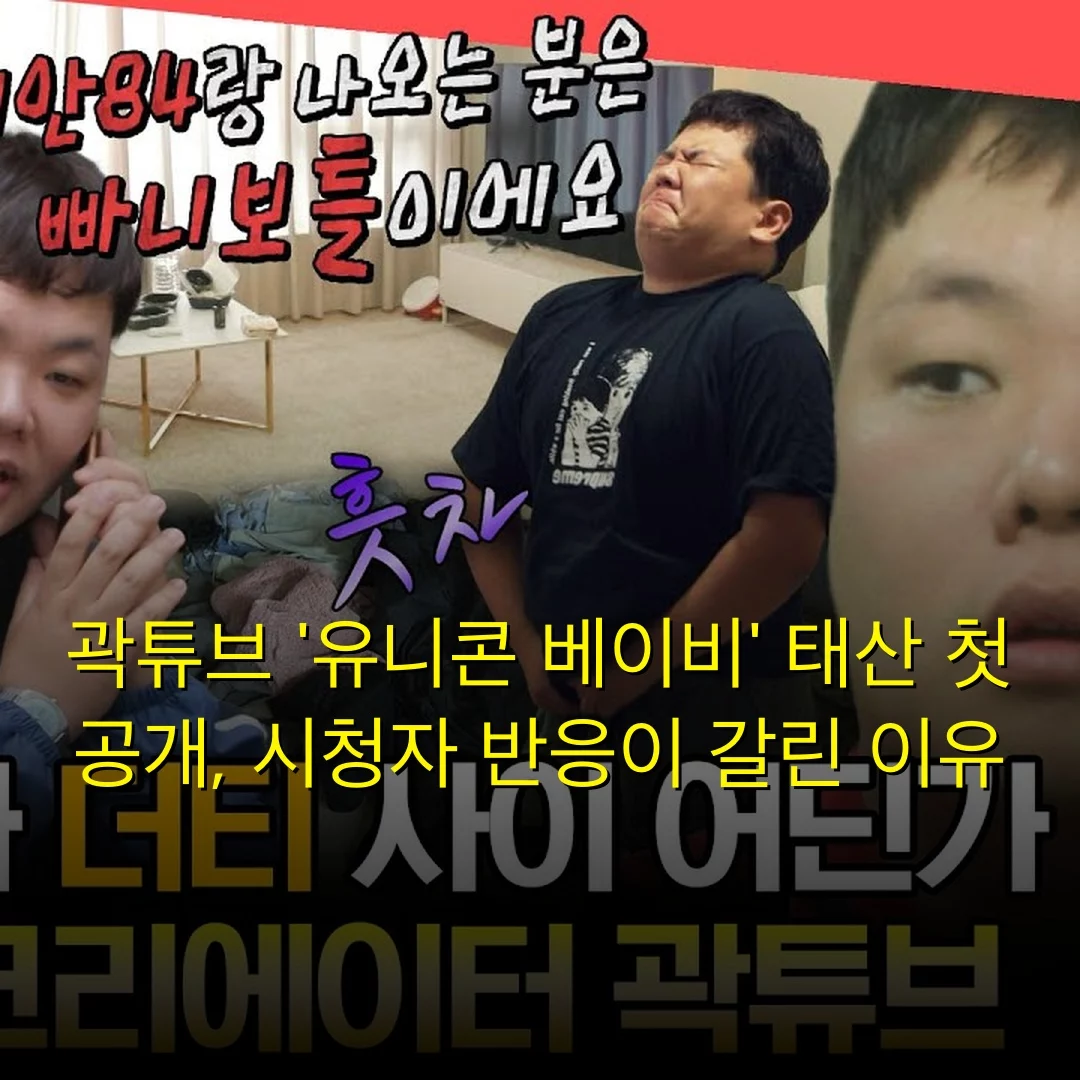 곽튜브 ‘유니콘 베이비’ 태산 첫 공개, 시청자 반응이 갈린 이유